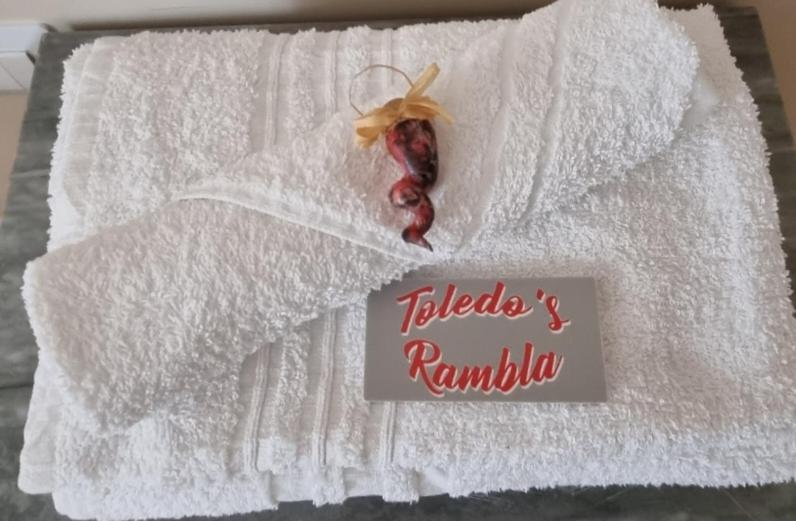 Toledo'S Rambla Casa Vacanze 那不勒斯 外观 照片